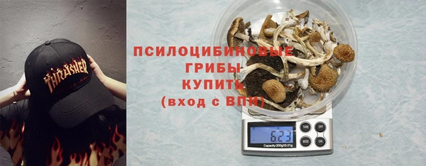apvp Арсеньев
