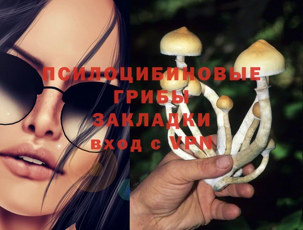 а пвп мука Аркадак