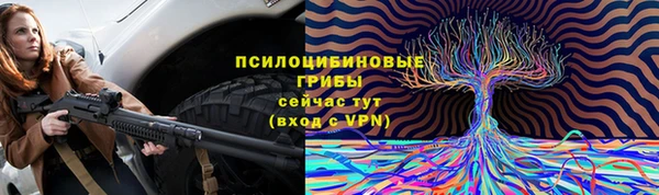 apvp Арсеньев