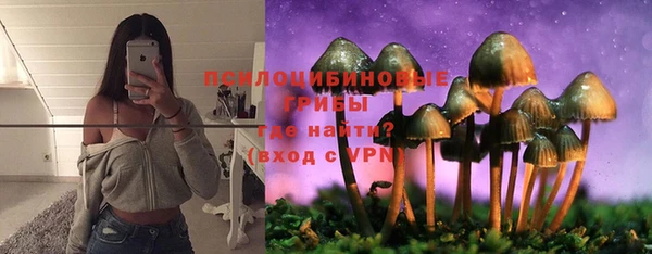 а пвп мука Аркадак