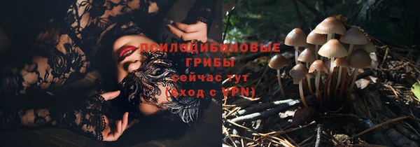 apvp Арсеньев