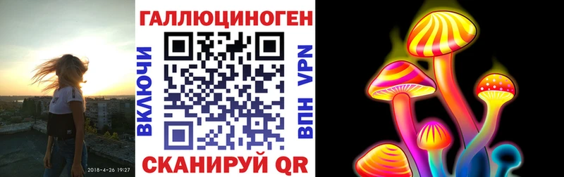 закладка  Болохово  Галлюциногенные грибы Cubensis 